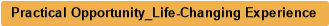 Practical Opportunity_Life-Changing Experience