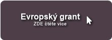 Evropsk&yacute; grant