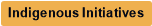 Indigenous Initiatives