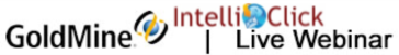 IntelliClick Web Site
