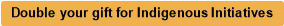 Double your gift for Indigenous Initiatives